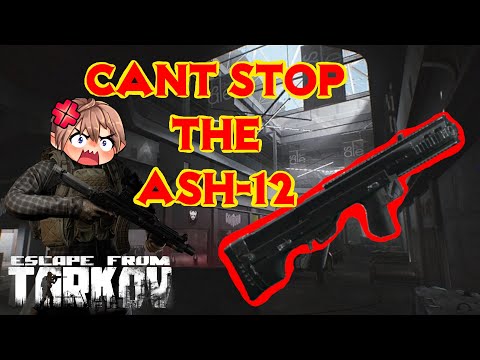 ASH-12 vs 4-man | INTERCHANGE PVP