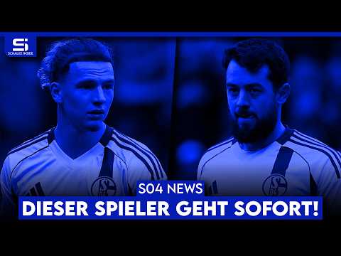 Younes geht sofort! Wallentowitz zurück zur U19? Ndiaye-Zukunftsfrage! Neue investitionen?  S04 NEWS
