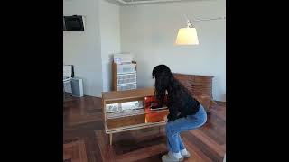 오늘은 캐롤 듣는 날. SABA 빈티지 진공관 장전축. #1950헤르츠