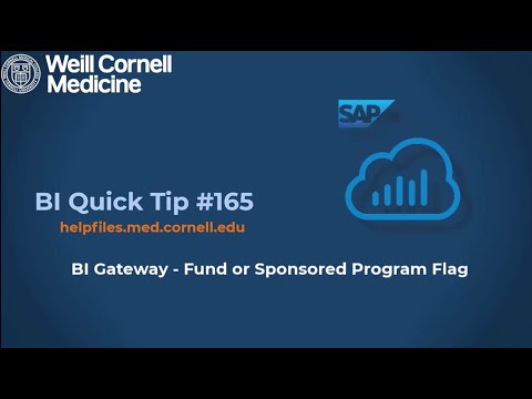 BI Quick Tip #165: Using the Fund or Sponsored Program flag on the prompt screen of the BI Gateway