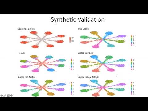 Scaled Bernoulli Mixture Model for Clustering... - Mudassar Iqbal - MLCSB - Poster - ISMB/ECCB 2021