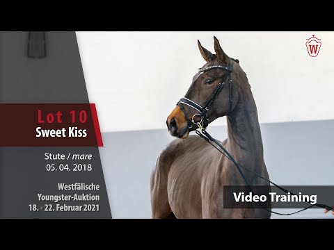 Youngster Auktion 18. - 22. Februar 2021 Training 10 Sweet Kiss Stute v. Secret - Fürst Rousseau