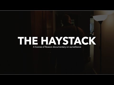 The Haystack