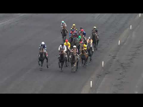 ASTOR DU QUENNE - Prix de Normandie 2015