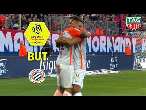 But Andy DELORT (37') / SM Caen - Montpellier Hérault SC (2-2)  (SMC-MHSC)/ 2018-19