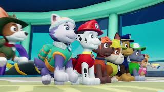 Paw Patrol: Im Einsatz