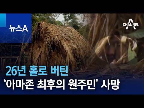 아이콘