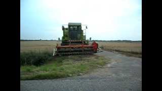 preview picture of video 'claas dominator 85 treshing barley'