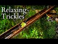 10Hrs Of Trickling Water Guaranteed To Help You Sleep Relax Or Study