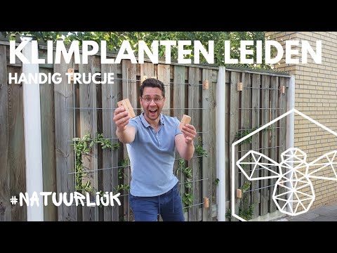 , title : 'Klimplanten leiden | handig trucje'