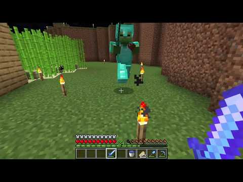 Giving a lucky Zombie full diamond armor and sword - Minecraft