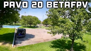 Pavo 20 Quick in car Flight
