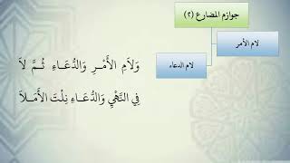 شرح نظم الآجرومية مع التشجير //45//الشيخ محمد محمود الشنقيطي image