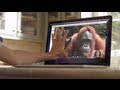 AMAZING! Orangutan asks girl for help in sign ...