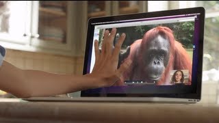 AMAZING! Orangutan asks girl for help in sign language