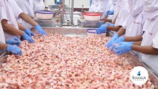 SEASAGA ENTERPRISES PVT. LTD. UNIT II video