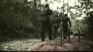 Colégio Raízes - Os três heróis brasileiros