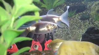 Download lagu 15 Mei 2022(1) mp3 Download lagu 15 Mei 2022(1) mp3