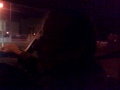 BEST TAXI DRIVER IN THE WORLD FUNNY