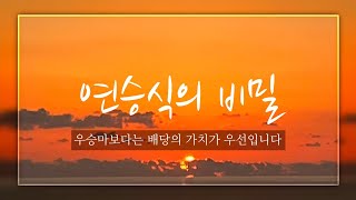[마장꿀팁] 연승식과 복연승식을 공략하는데 도움이 되었으면 좋겠습니다