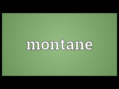 Montane Meaning