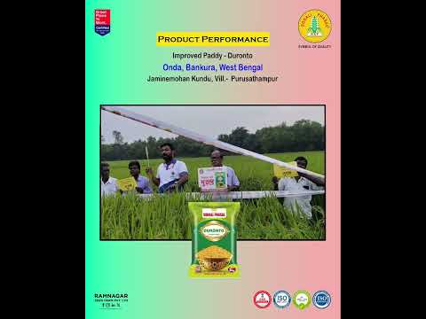 Improved Paddy – Duronto