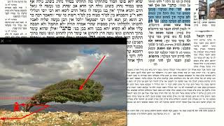 דף יומי מסכת מכות דף יב Daf yomi Masechet Makkot page 12  ע"י יוני גוטמן (שיעורי הדף היומי ב-20 דקות – מועבר ע"י ר' יוני גוטמן – לעילוי נשמת אביו ר' אלימלך צבי (צביקה) גוטמן ז"ל) - התמונה מוצגת ישירות מתוך אתר האינטרנט יוטיוב. זכויות היוצרים בתמונה שייכות ליוצרה. קישור קרדיט למקור התוכן נמצא בתוך דף הסרטון