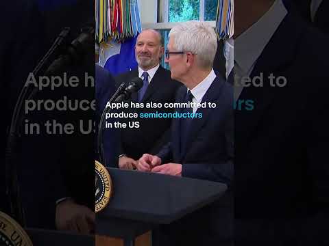 Apple's Tim Cook gifts 24-karat glass and gold plaque to Donald Trump | DW News