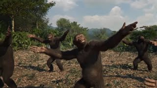 Monke