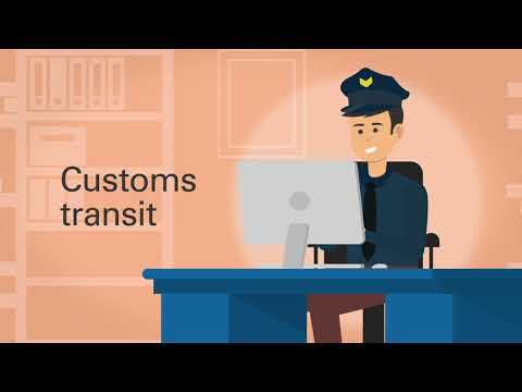 SGS TransitNet: Customs Transit Made Easy (Extended Version)