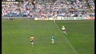preview picture of video 'Munster Senior Hurling Final 1995 (3 of 6)'