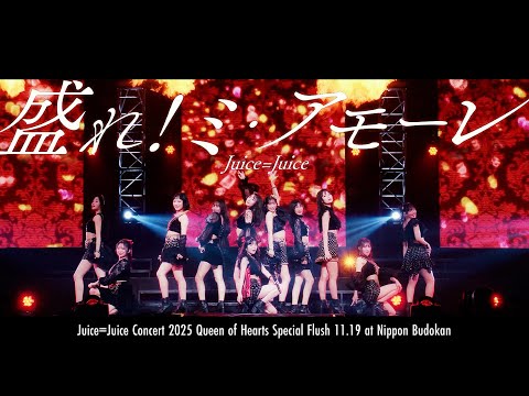 Juice=Juice『盛れ！ミ・アモーレ』(Concert 2025 Queen of Hearts Special Flush)