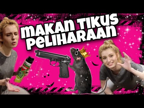makan-tikus-peliharaannya-nastasya-shine-punya-cara-alami-usir-tikus-dari-rumah