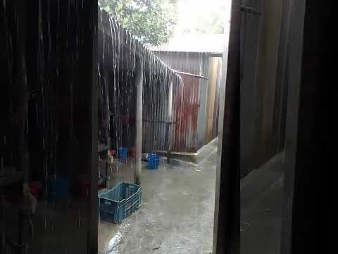 টাপুর টুপুর 🌷🪷💮❤️🌻🌼🌹🍂💐