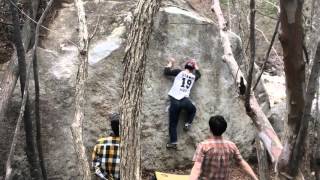 小川山 石楠花エリア 扇子