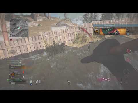 Call of Duty®: Modern Warfare® Warzone's Bruce Lee