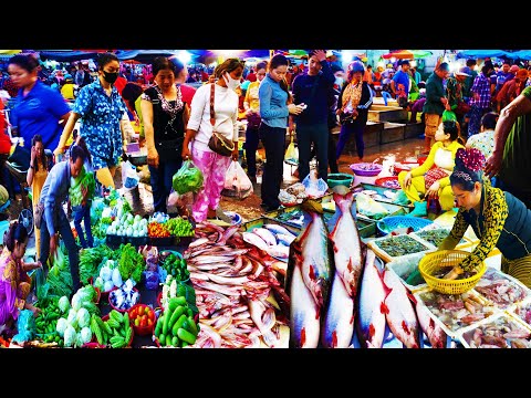 Food Rural TV, Many fish distribution points in Chbar Ampov Market, Phnom Penh, Cambodia