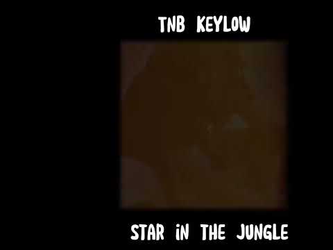 TNB keylow (smoke) ft babyface gunna prod.@WillJeffery