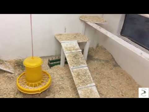 Selbstgemacht  Die Ausstattung   Einrichtung unseres Hühnerhauses