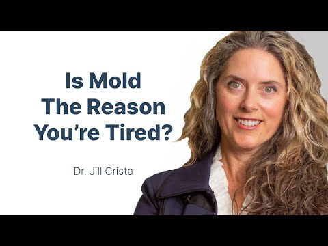 Are Mold / Mycotoxins the Cause of Your Fatigue, Brain Fog, and Skin Rashes with Dr. Jill Crista