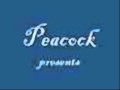 Dalom Kids Peacock TONA YA RONA Wmv
