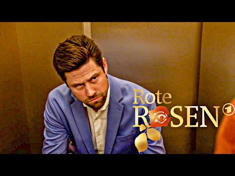 Red Roses 🌹 Episode 4081 - Unintentional Derailment