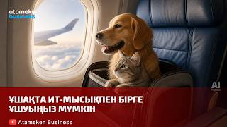 Ұшақта ит-мысықпен бірге ұшуыңыз мүмкін