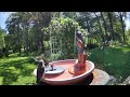 A day at the bluebird's bath