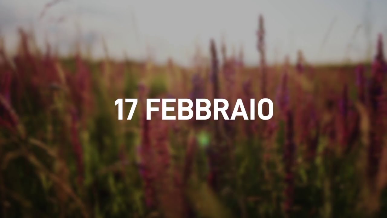 17 Febbraio 2025 | Meditazione Parole di Vita