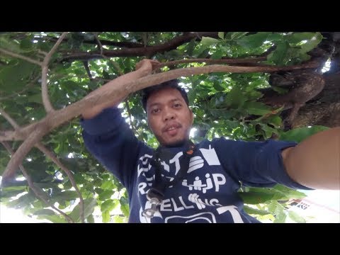 #FPVLife || FPVTrip || Trip Pare Pare Another progress