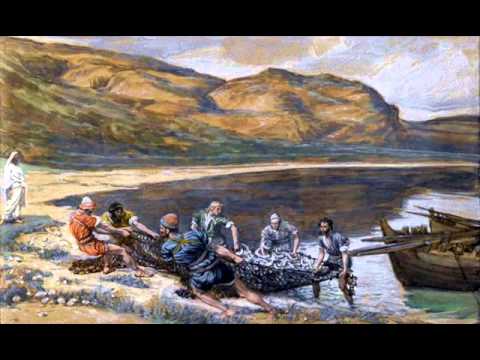 Tłumy serc - Ks. Stefan Ceberek