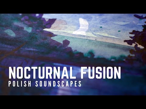 Nocturnal fusion | 1 hour biophonic field recording