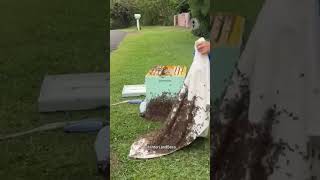 Homem Gentil Presenteia Abelhas Fofas com Novo Lar 🐝❤️