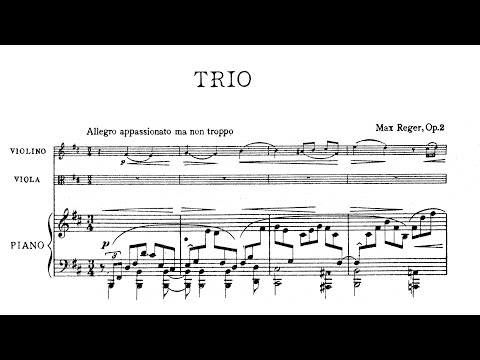 Max Reger - Piano Trio No. 1 in B Minor, Op. 2